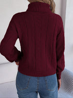 Cable knit turtleneck sweater - View 8 | WEUXS