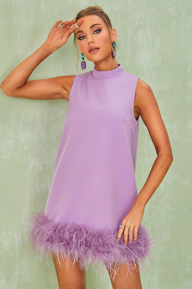 Nisha Feather Mini Dress | Dress In Beauty
