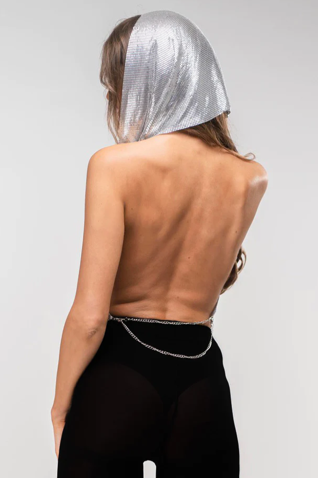 Venus Hoodie Metallic Top | Dress In Beauty