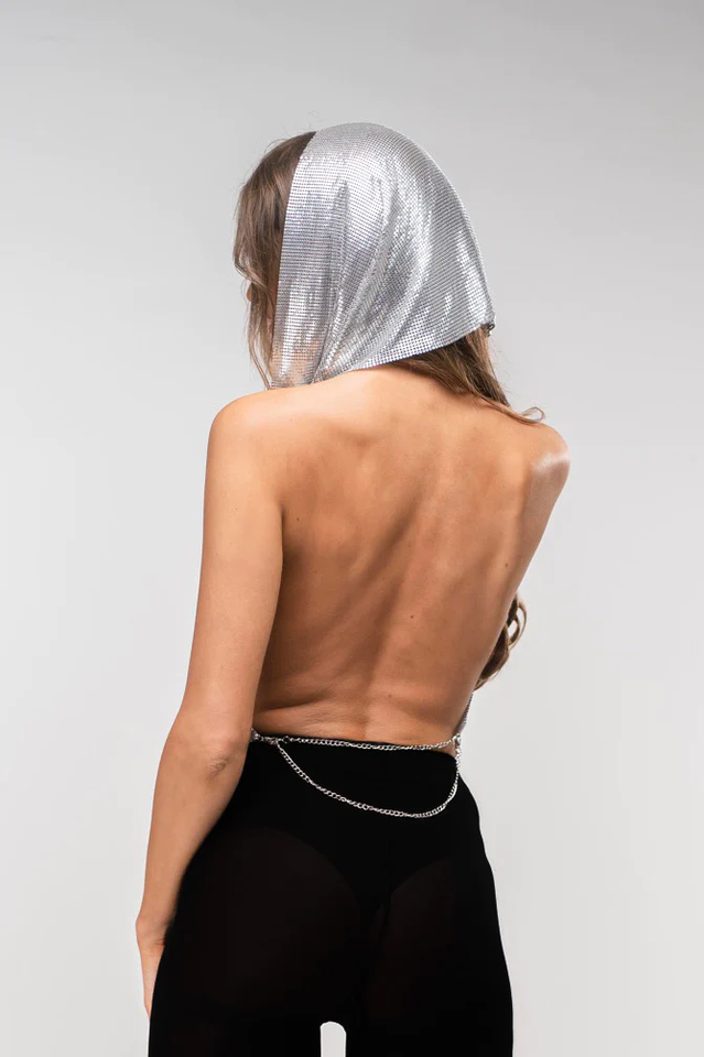 Venus Hoodie Metallic Top | Dress In Beauty