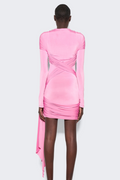 Fran Pink Mini Dress | Dress In Beauty