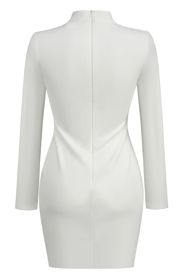 Rora Lace Cutout Mini Dress | Dress In Beauty