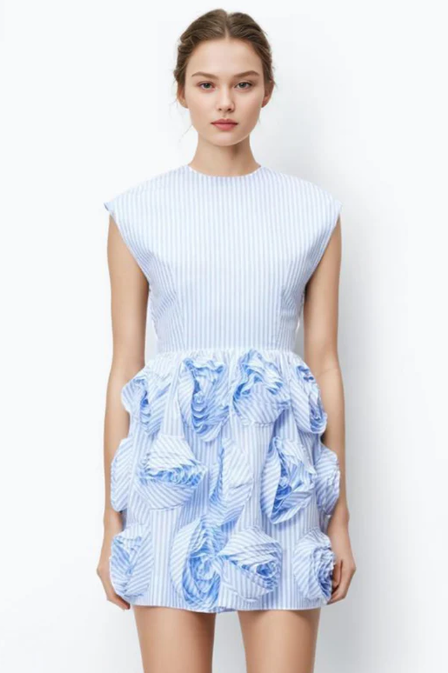 Rose Applique Mini Dress | Dress In Beauty