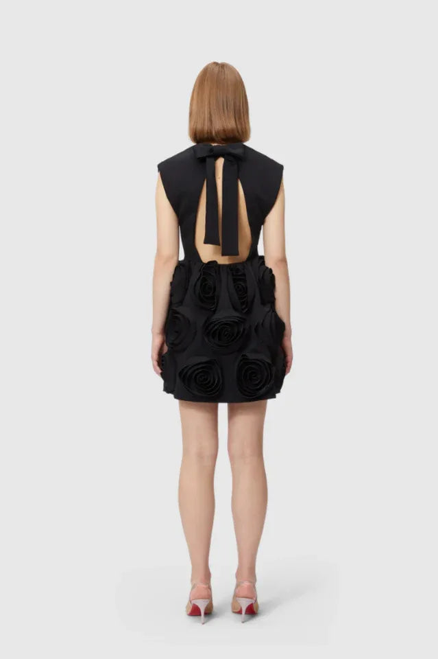 Rose Applique Mini Dress - WEUXS