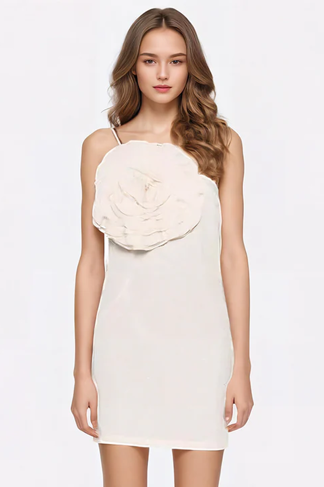 Floral Appliqué Gabardine Mini Dress | Dress In Beauty