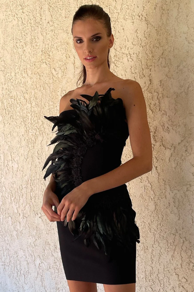 HESTER Feathers Dress | Dress In Beauty