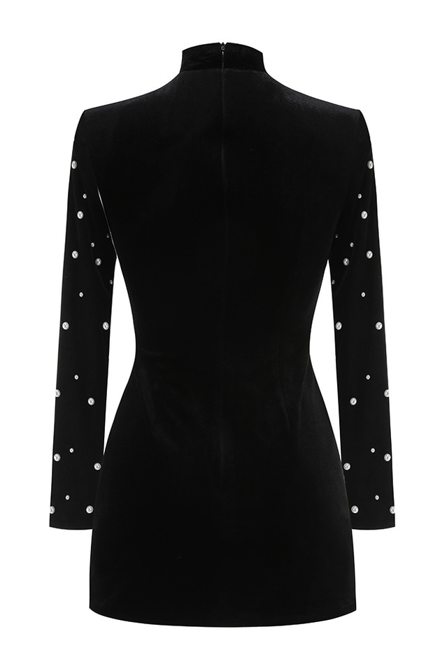 Elegant Long Sleeved Beaded Mini Dress | Dress In Beauty