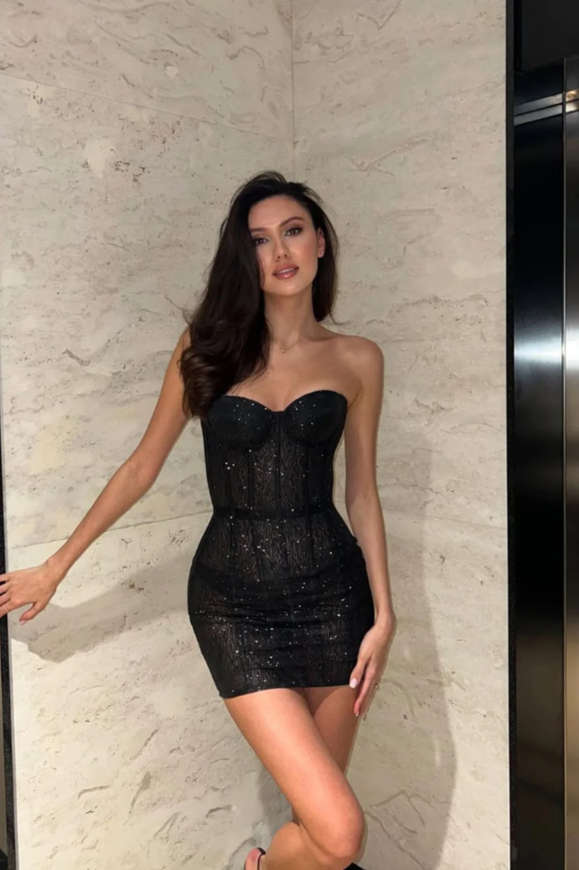 Inez Mini Dress | Dress In Beauty