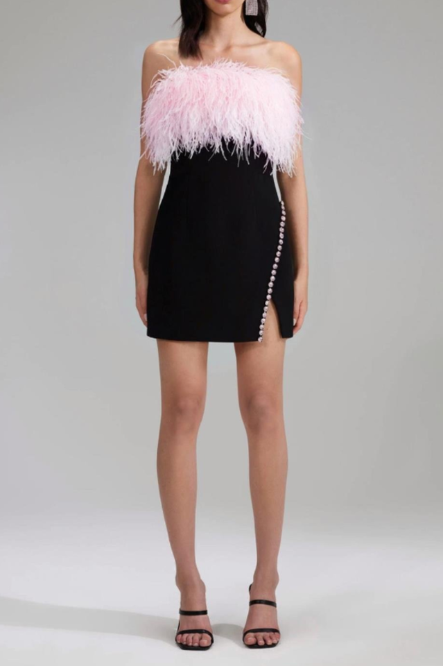 Design Mini Dress | Dress In Beauty