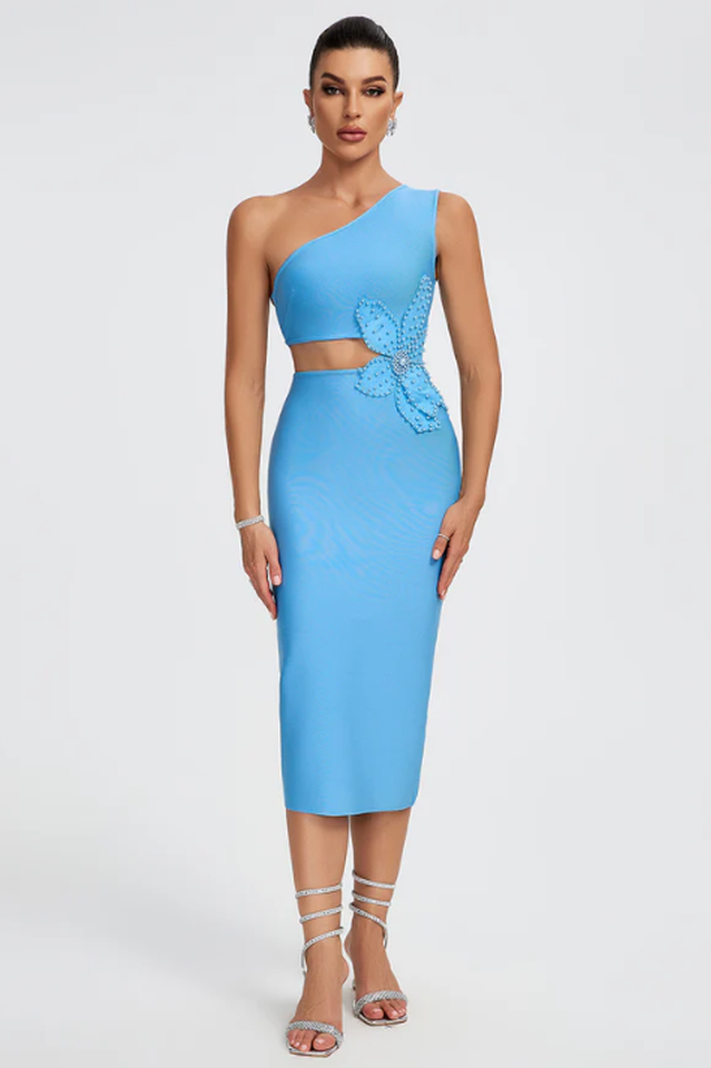 Flower Applique Midi Bandage Dress | Dress In Beauty