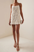 Beverly Floral Applique Pleated Mini Dress | Dress In Beauty