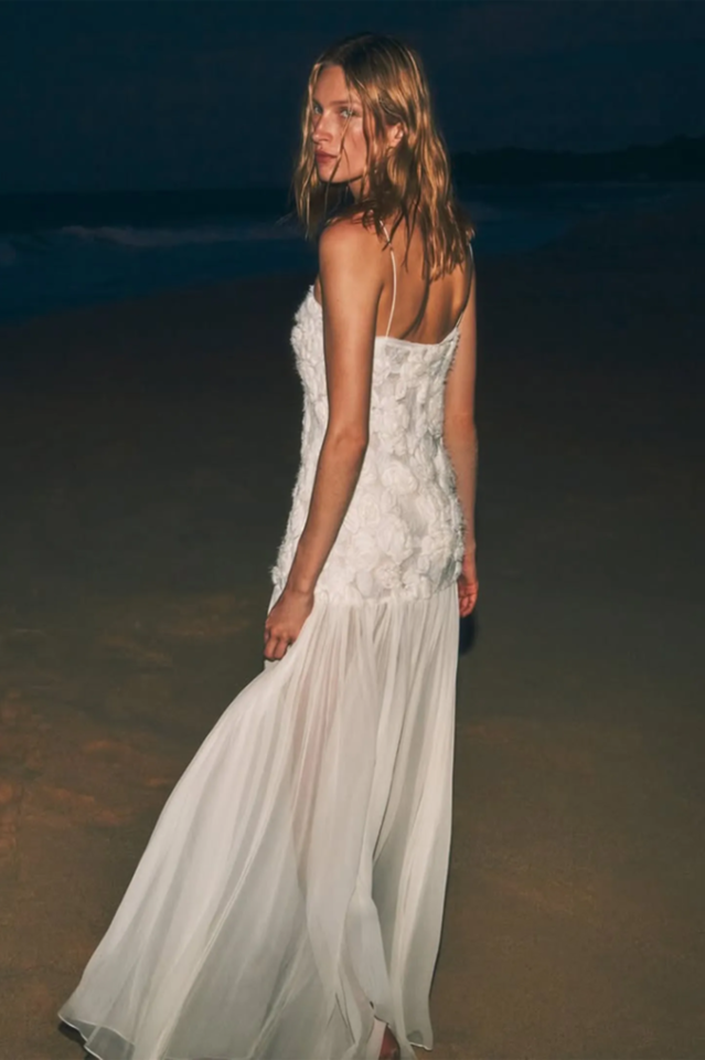 Andrea Floral Applique Pleated Maxi Dress | Dress In Beauty