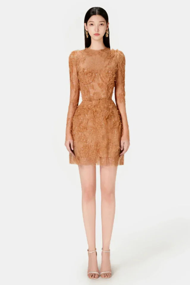 Full body front view of a woman in a tan lace mini dress with long sleeves.