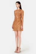 Honey Beaded Lace Mini Dress | Dress In Beauty