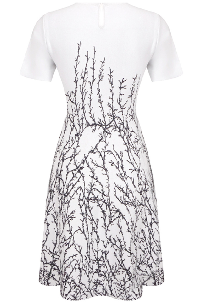 Short Sleeve A Line Dress | Dress In Beauty