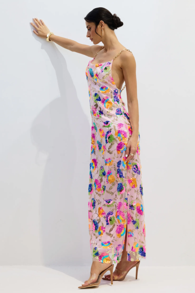 Fanny Embroidered Sequins Backless Maxi Dress | Dress In Beauty