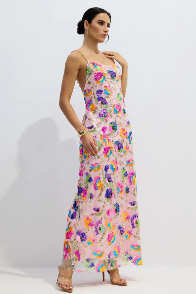 Fanny Embroidered Sequins Backless Maxi Dress | Dress In Beauty