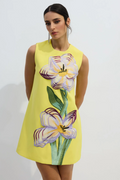 Vera Floral Applique Sleeveless Mini Dress | Dress In Beauty