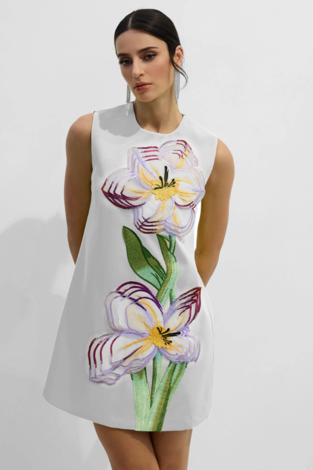 Vera Floral Applique Sleeveless Mini Dress | Dress In Beauty