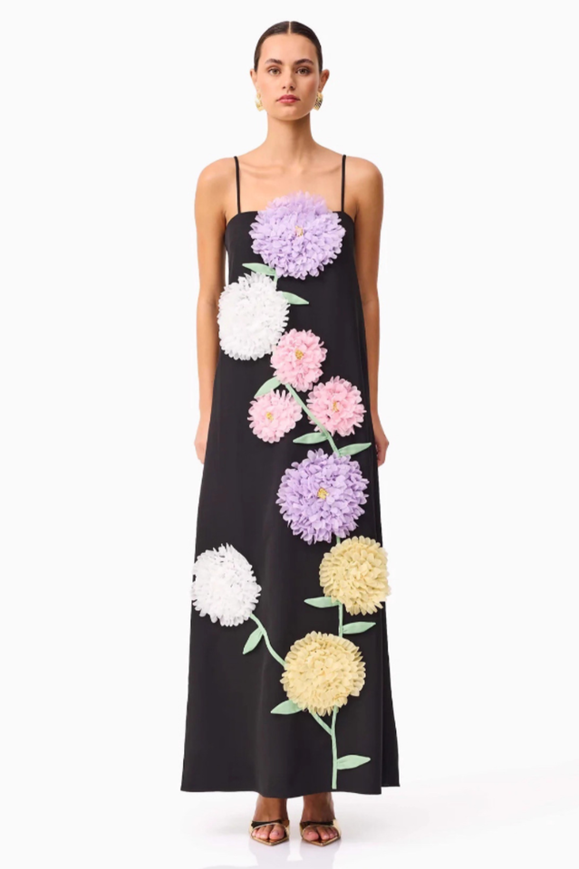 Louisa Floral Applique Maxi Dress | Dress In Beauty