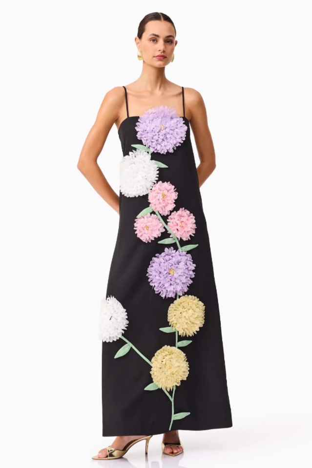 Louisa Floral Applique Maxi Dress | Dress In Beauty