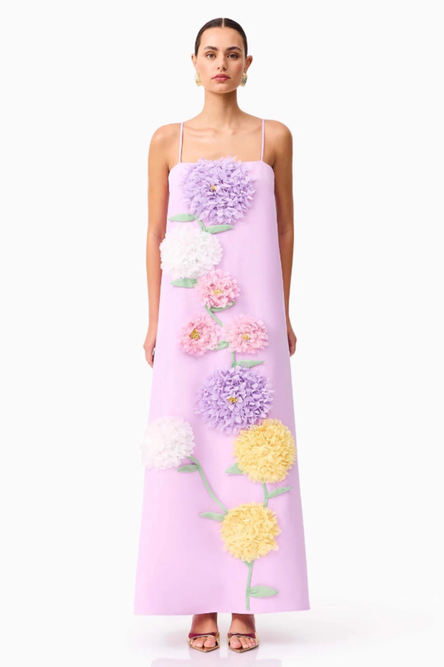 Louisa Floral Applique Maxi Dress | Dress In Beauty