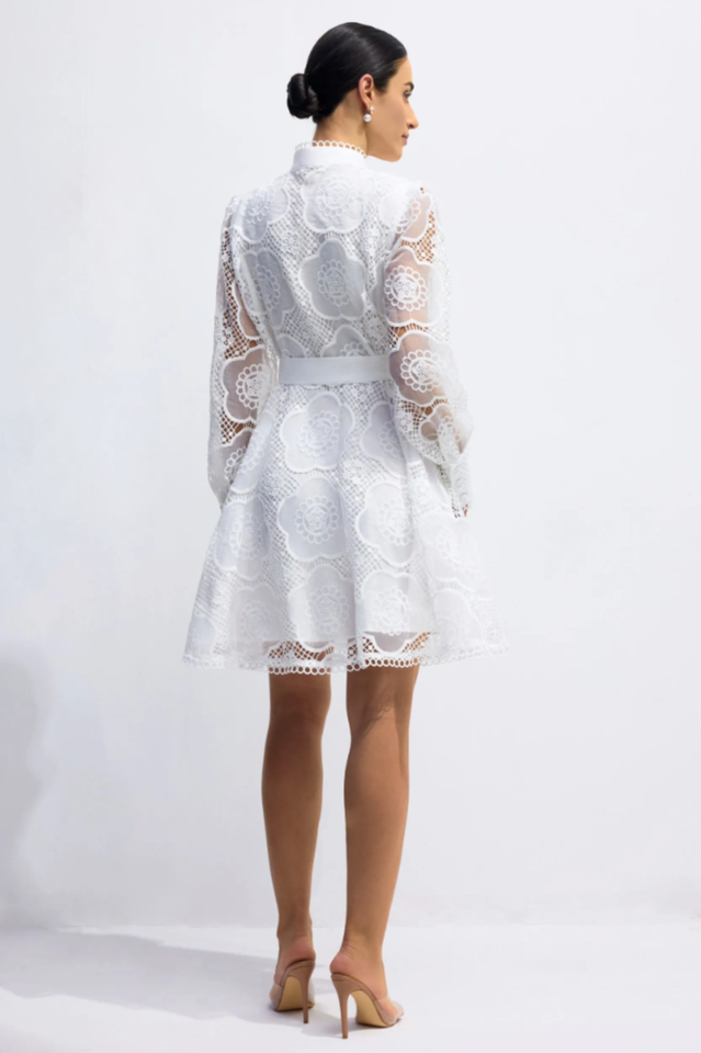 Helena Floral Lace Mini Dress | Dress In Beauty