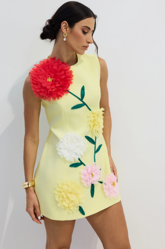 Sibyl Floral Applique Sleeveless Mini Dress | Dress In Beauty
