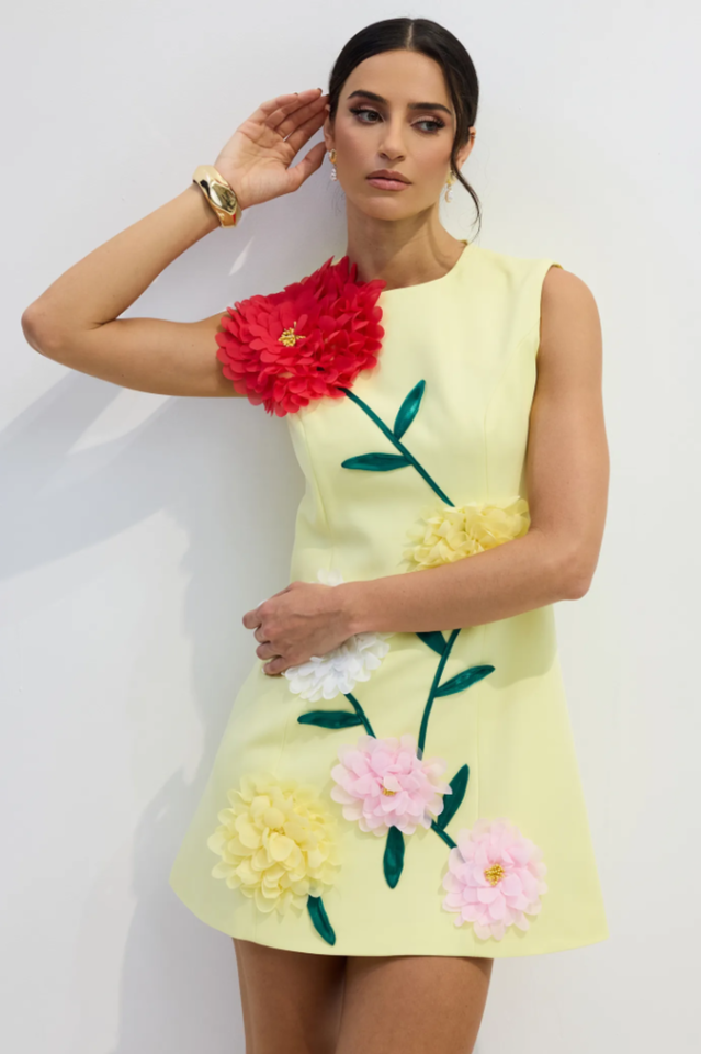 Sibyl Floral Applique Sleeveless Mini Dress | Dress In Beauty