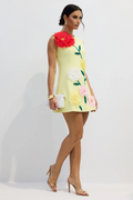 Sibyl Floral Applique Sleeveless Mini Dress | Dress In Beauty