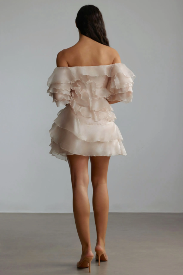 Estra Floral Tulle Mini Dress | Dress In Beauty