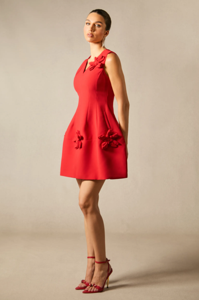 Bertina Floral Applique Mini Dress | Dress In Beauty