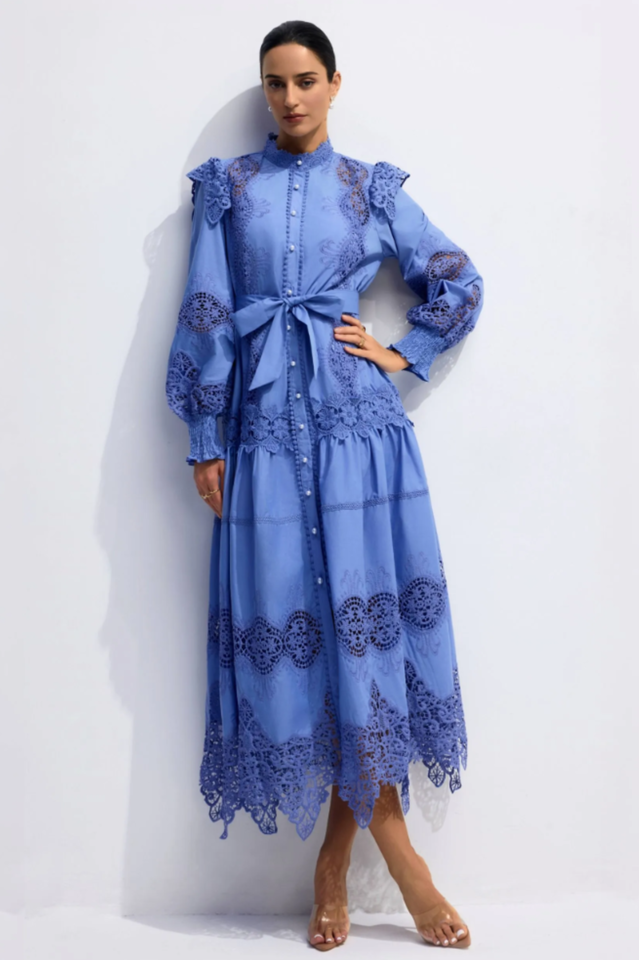 Alina Embroidered Lace Midi Dress