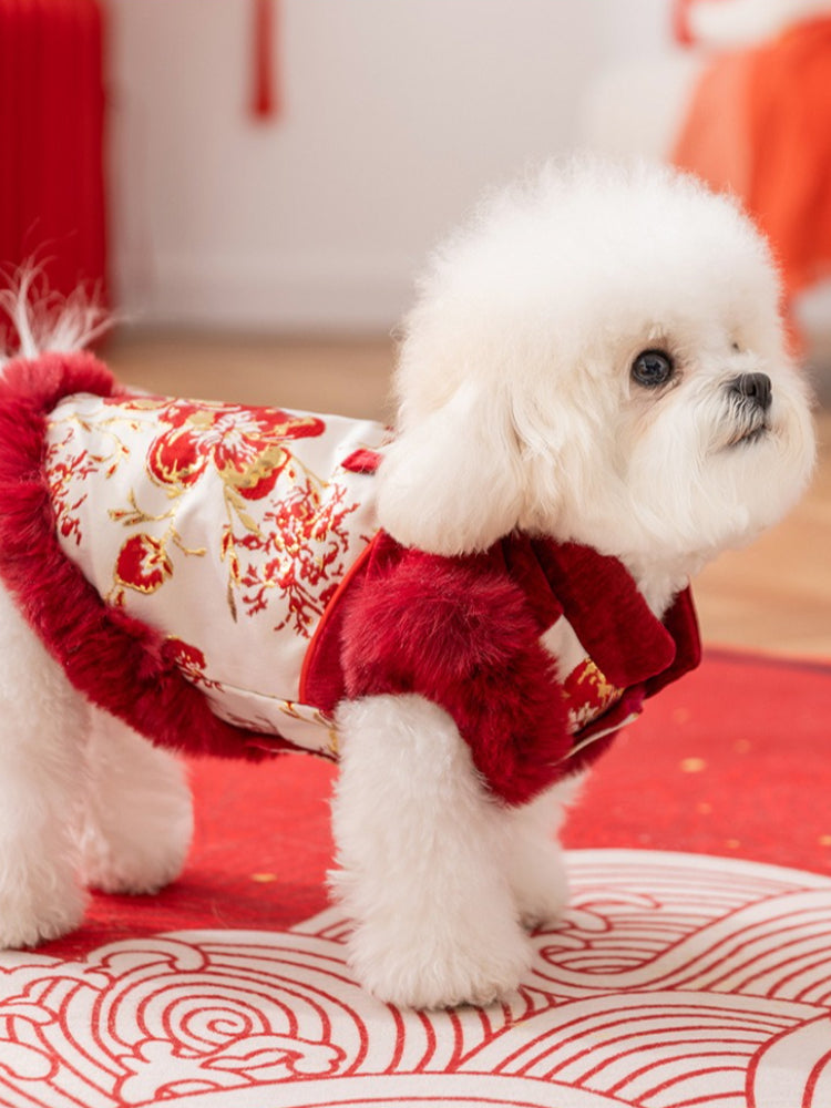 Floral brocade dog vest with fur trim - View 6 | WEUXS