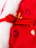 Dog wearing a New Year Tang Suit Vest - View 8 | WEUXS