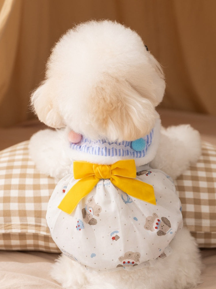 Rear view of a white Bichon Frise dog wearing a white pet garment with a yellow bow accent and a teddy bear print.