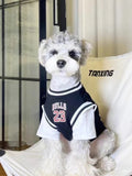 Small dog wearing a black and white basketball jersey with 'BULLS 23' graphic