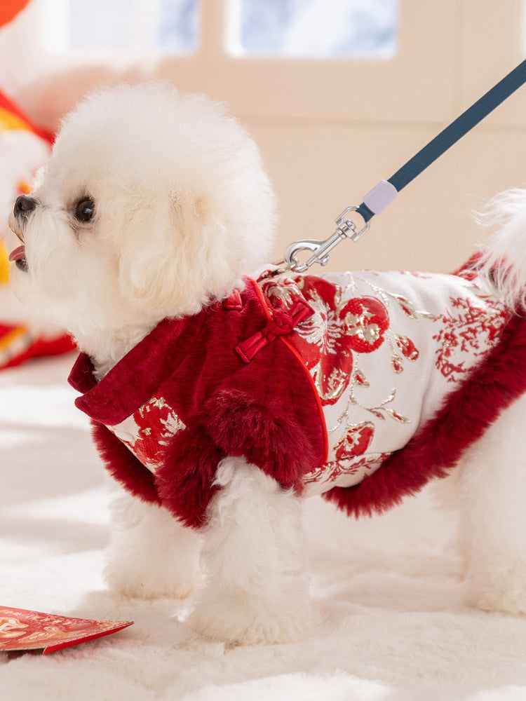 Side view of a white dog wearing a red and white traditional Chinese style dog jacket with floral and dragon embroidery and red faux fur trim, attached to a leash.