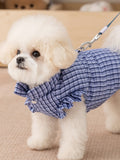 Small white dog wearing a blue plaid dog vest with a leash attached