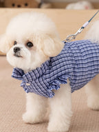 Small white dog wearing a blue plaid dog vest with a leash attached
