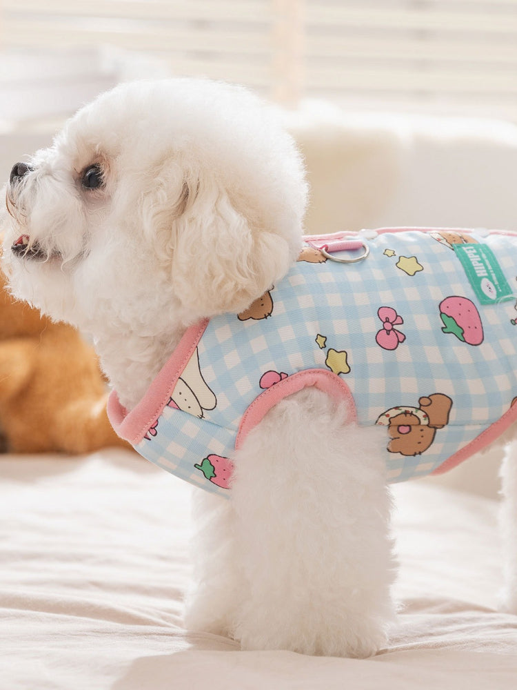 Side view of a light blue gingham dog vest with teddy bear and strawberry print, worn by a white bichon frise.