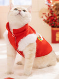 Close-up of a white cat's head wearing a red pet Tang suit vest