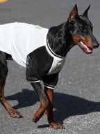Large Dog Breathable Mesh T-Shirt