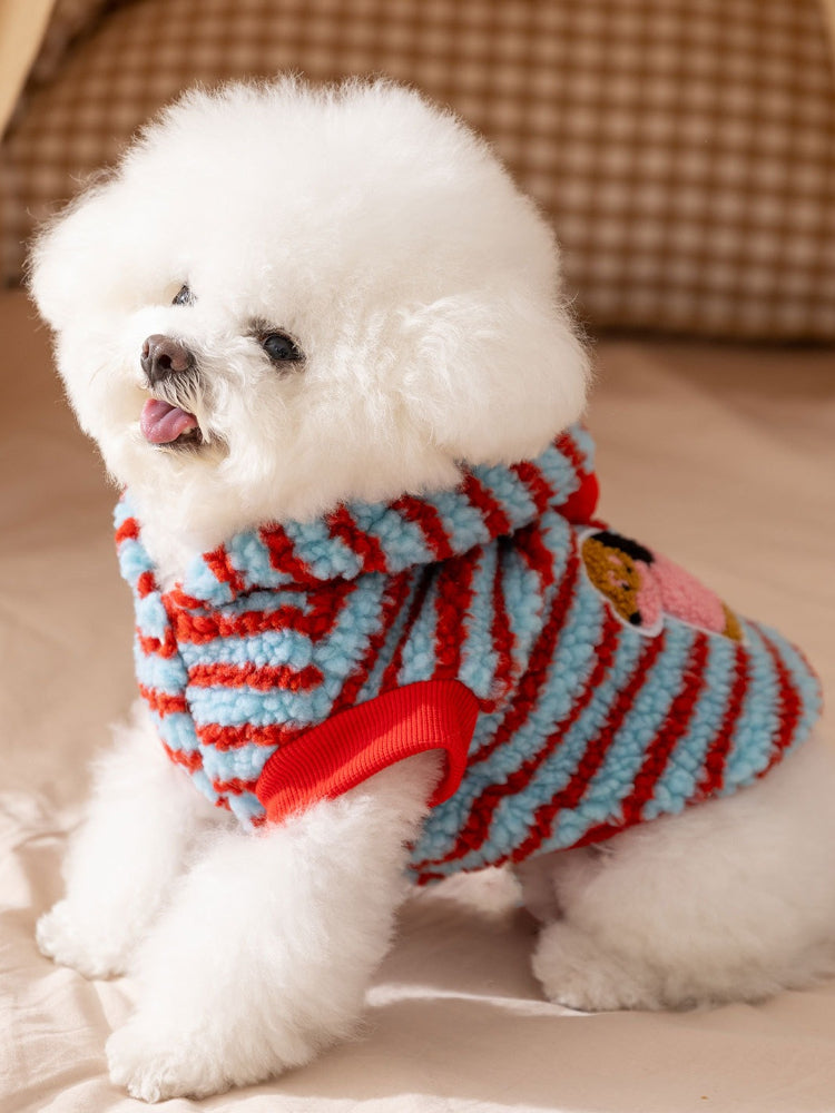 Dog wearing a blue and red striped hooded dog coat, showing the front and side.