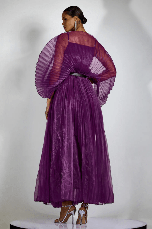 Amanda Semi - sheer Pleated Maxi Dress - WEUXS