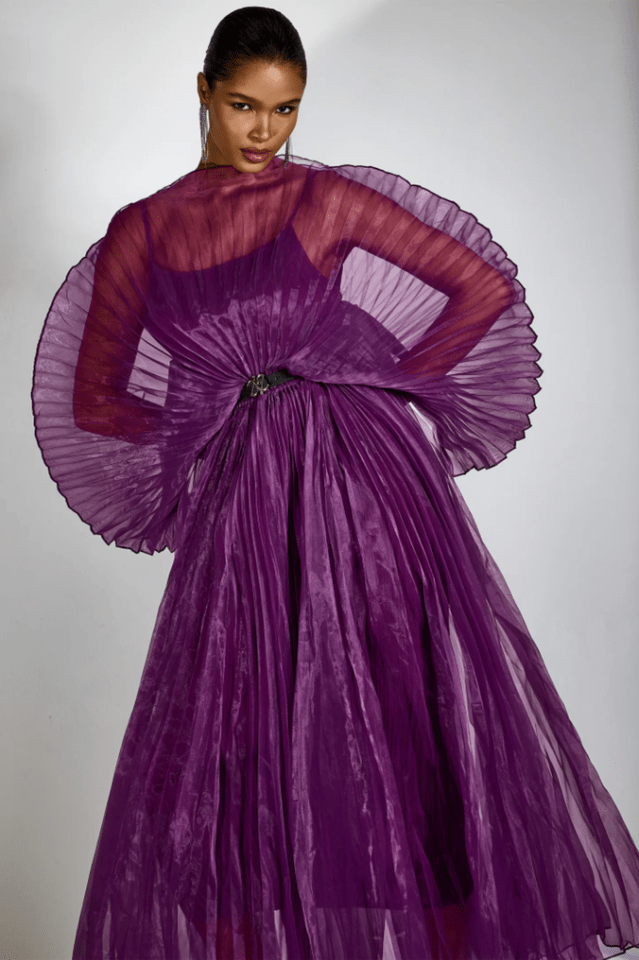 Amanda Semi - sheer Pleated Maxi Dress - WEUXS