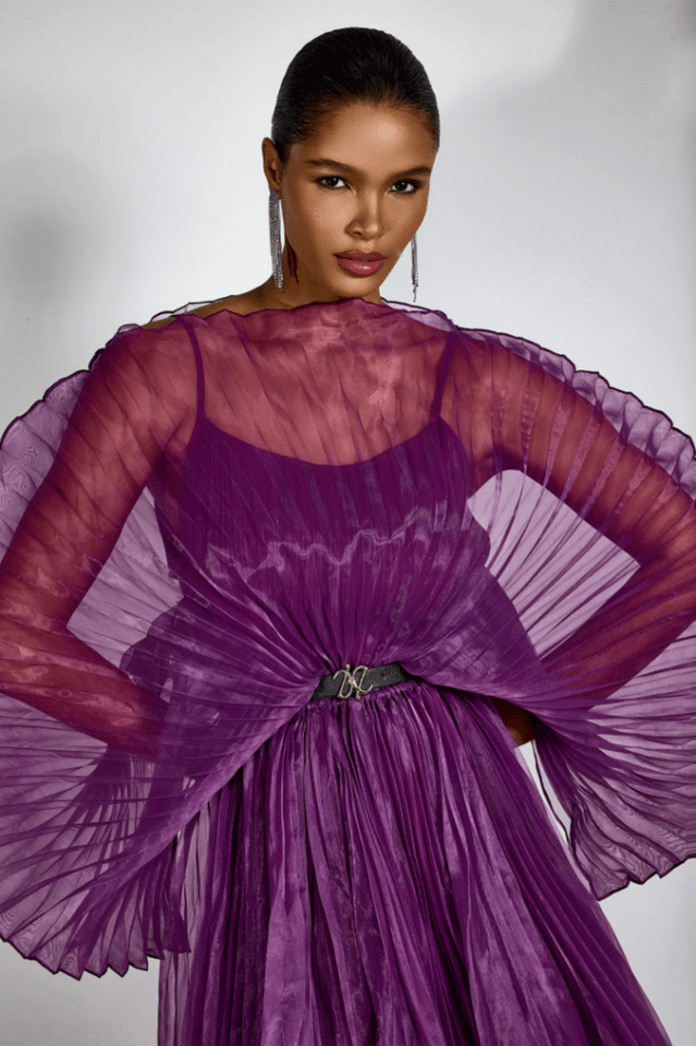 Amanda Semi - sheer Pleated Maxi Dress - WEUXS