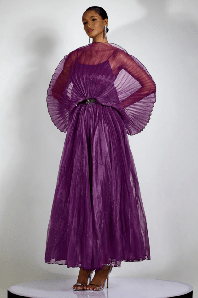 Amanda Semi - sheer Pleated Maxi Dress - WEUXS