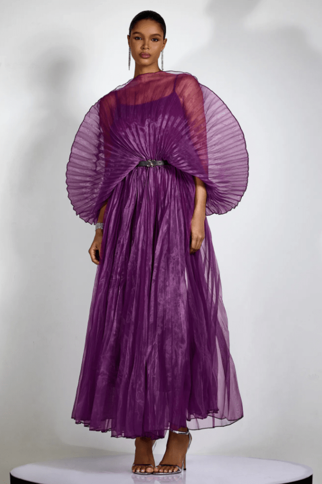 Amanda Semi - sheer Pleated Maxi Dress - WEUXS