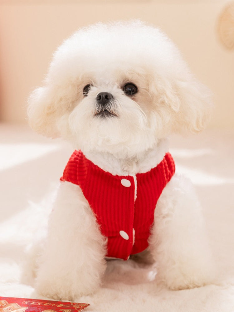 A white Bichon Frise dog wearing a red corduroy pet vest with white sherpa lining and two white buttons.